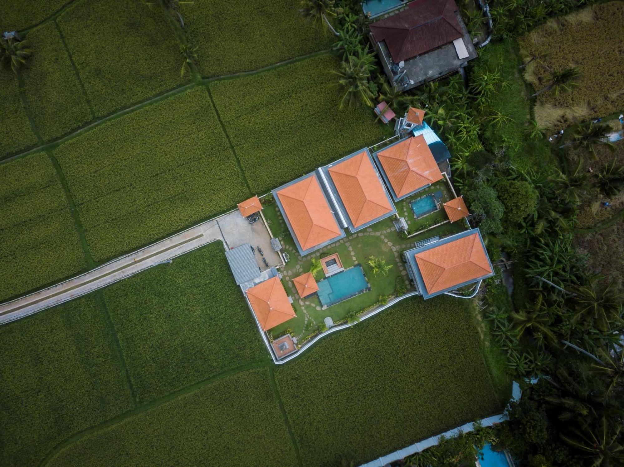 The Patra Ubud Exterior photo
